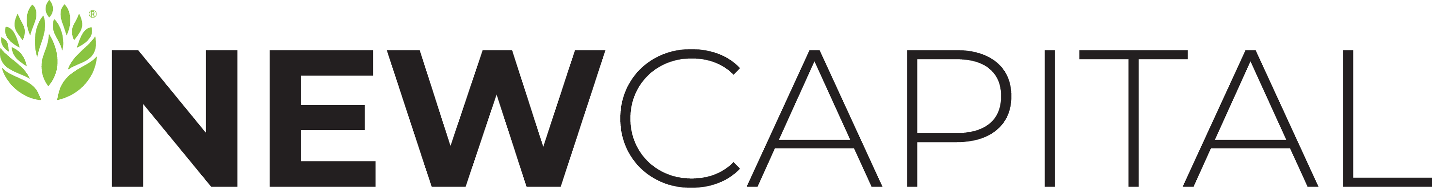 LA VERDE New Capital logo